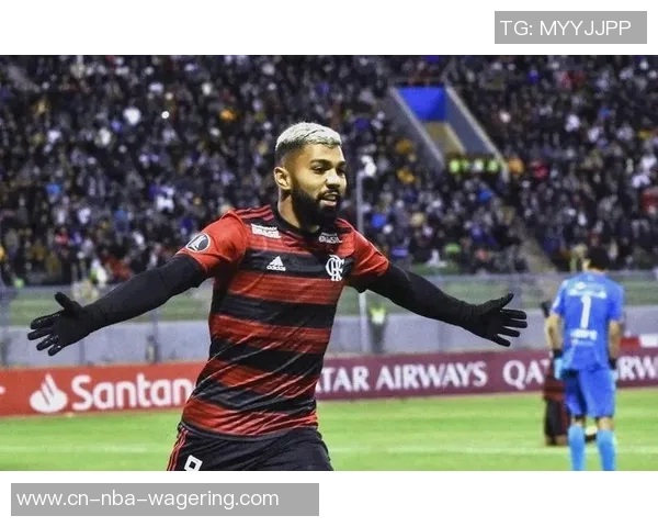 弗拉门戈足球俱乐部的辉煌历史与未来展望探讨